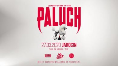 Photo of Paluch w Jarocinie | JOK Jarocin