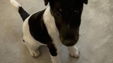 Photo of „It don’t matter if you’re black or whit…