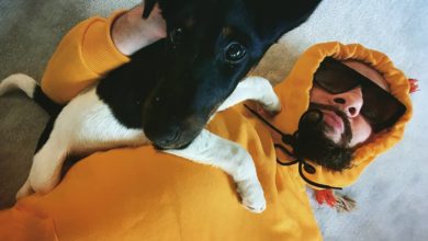 Photo of Regeneracja podłogowa #mikathedog