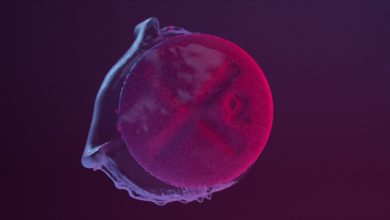 Photo of Dwa Sławy – Mango Lassi feat. Białas (prod. Steez83)