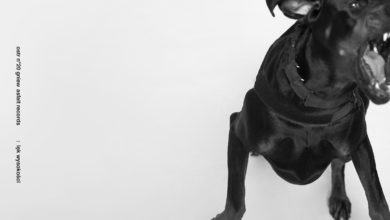 Photo of O.S.T.R. – Lęk wysokości