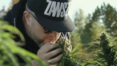 Photo of Zawsze Za! MOPS & djPETE