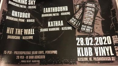Photo of The Last Show – hardcore metal gig