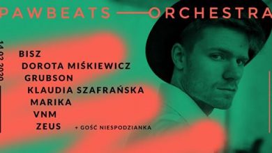 Photo of Pawbeats Orchestra | Wrocław