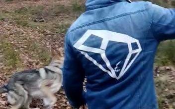 Photo of Obejrzyj 8.02.2020 #Szwajcarja