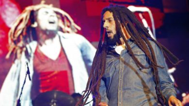 Photo of Julian Marley na koncercie z okazji urod…