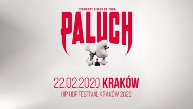 Photo of Paluch w Krakowie / Hip Hop Festival Kraków 2020