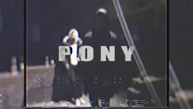 Photo of PLUS – PONY
