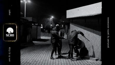 Photo of SVV – RSPKT ft. DJ Flip (prod. PMBTZ Mickiewicz)