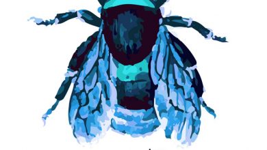 Photo of Ciężki Buzz