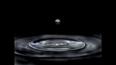 Photo of Liquid – Sweet Harmony (Original mix)