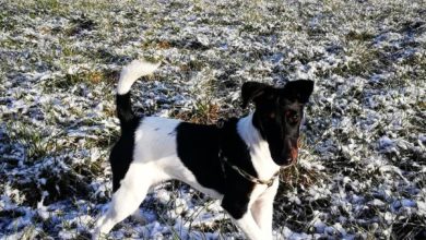 Photo of #pierwszyśnieg