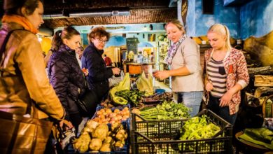 Photo of Raciborski BIObazar tym razem on-line