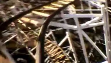 Photo of Pezet Noon – W branży