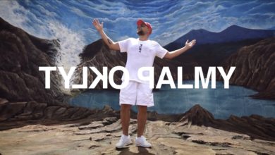 Photo of TEDE & SIR MICH – TYLKO PALMY / DISCO NOIR