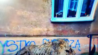 Photo of FLOW – niedefiniowalne coś, czego tak ba…