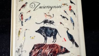 Photo of Skąd te dziwne nazwy? Do śniadania czyta…