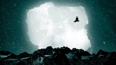 Photo of Tak prezentuje się okładka NATURALNEGO S…