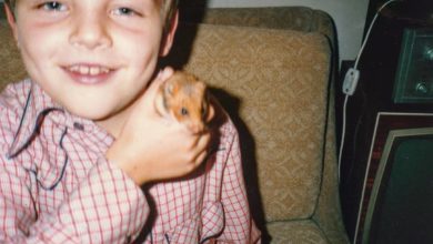 Photo of „TESTAMENT” O 15.00 NA DZIADZIORTV
#DZIA…