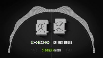 Photo of Ex-Echo x Kri Des Singes – Stranger Remix feat. Don Kulcha