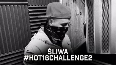 Photo of Śliwa – #Hot16Challenge2