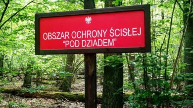 Photo of „A one mówią do mnie…”