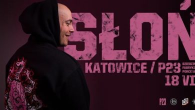 Photo of SŁOŃ / 18.07 / Plener P23, Katowice