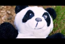 Photo of Khoe-Wa meets Luiza – Nadjilo (Official Video)