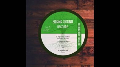 Photo of Sis I-Leen Open The Borders & Dub