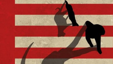 Photo of Studio, Scena, Łóżko – Lech Music 2020