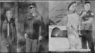 Photo of Pewny Wariant- Pull up, Guppi Guppi