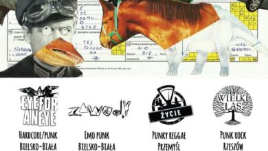 Photo of Hardcore to punk 6!