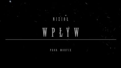 Photo of Nizioł – Wpływ
