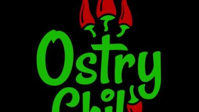 Photo of Paprodziad i Jurek Dre$ – „Ostry Chill” (prod.MadMajk) | #LublinGra