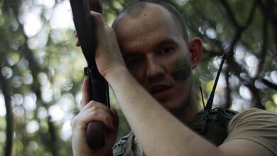 Photo of Moli – Pąki białych róż