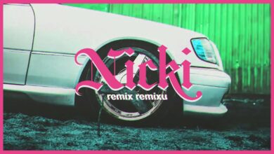 Photo of TEDE – NICKI REMIX REMIXU / ŁEBODROM / prod. Sir Mich