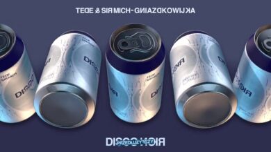 Photo of TEDE & SIR MICH – GNIAZDKOWIJKA / DISCO NOIR: PRZEDŁUŻYFSZY