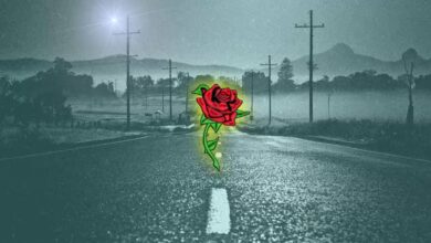 Photo of Korki x Peceet – Karma Wraca – YouTube