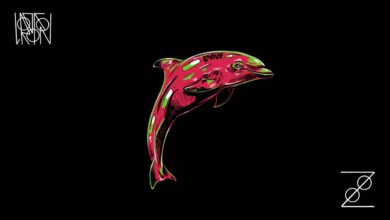 Photo of Lordofon – Zoo