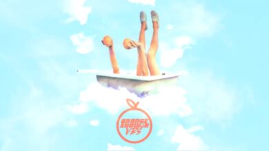 Photo of VBS – Flip'n (prod. VBS)