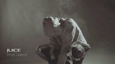 Photo of Beteo – JUICE