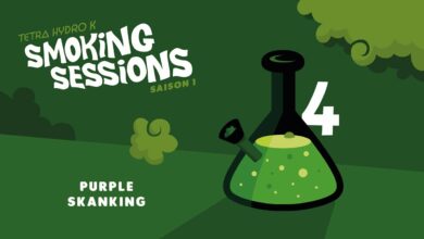 Photo of Tetra Hydro K – Purple skanking – Smoking Sessions #4