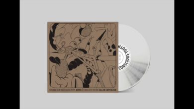 Photo of WR028: CONSCIOUS YOUTH | KODAMA DUB | GURU POPE | 12″