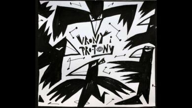 Photo of DGE&MATHEO – VRONY&PRO-TONY [PROMOMIX]