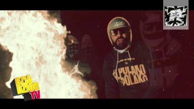 Photo of DGE&Matheo – Biały królik [VRONY&PRO-TONY]