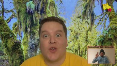 Photo of donGURALesko & Matheo – Zajko Kokorajko [free track] – YouTube