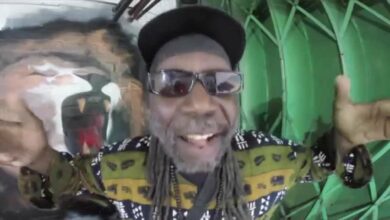 Photo of VIBRONICS featuring MACKA B – ARE YOU READY (Official Music Video)