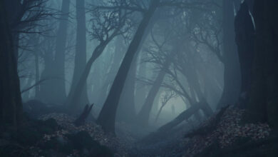 Photo of O.S.T.R. / Hades – Parasomnia