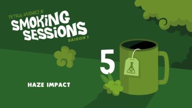 Photo of Tetra Hydro K – Haze Impact – Smoking Sessions #5