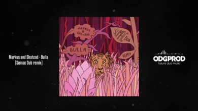 Photo of Markus and Shahzad – Bulla (Sumac Dub remix)